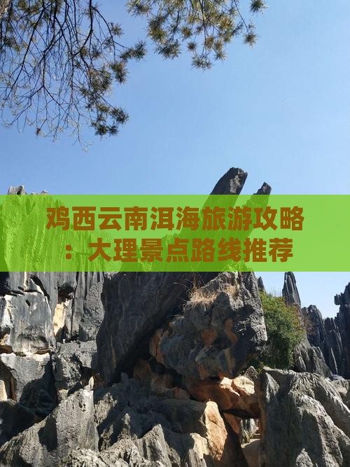 鸡西去云南洱海旅游