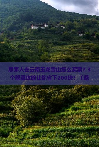 思茅去云南玉龙雪山门票