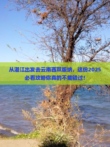 湛江去云南西双版纳哪里玩