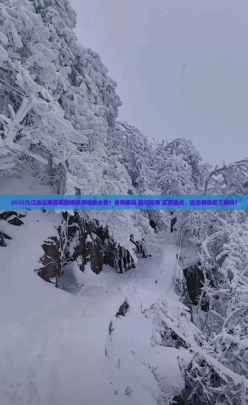 九江去云南昆明团体旅游