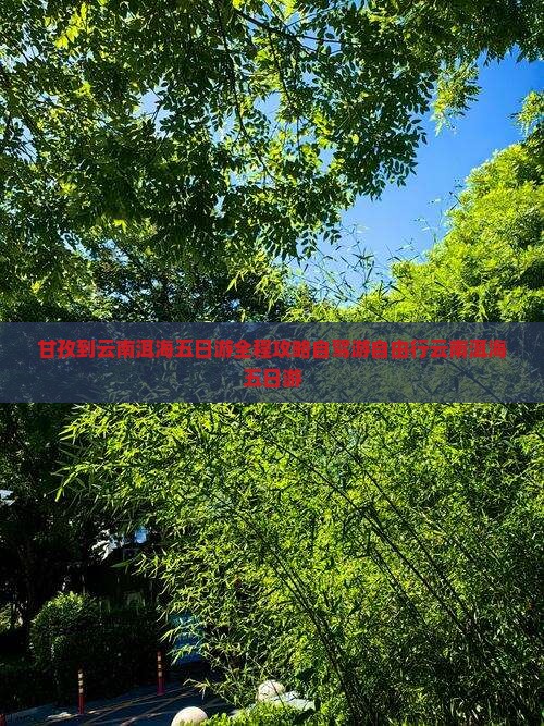 甘孜到云南洱海五日游