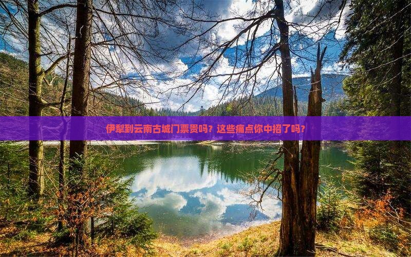 伊犁到云南古城门票