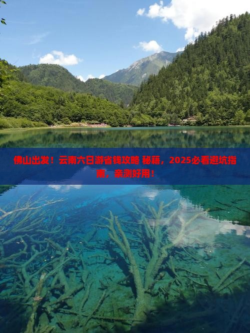 佛山去云南六日游