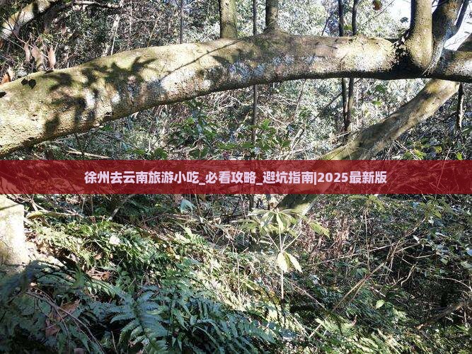徐州去云南旅游小吃