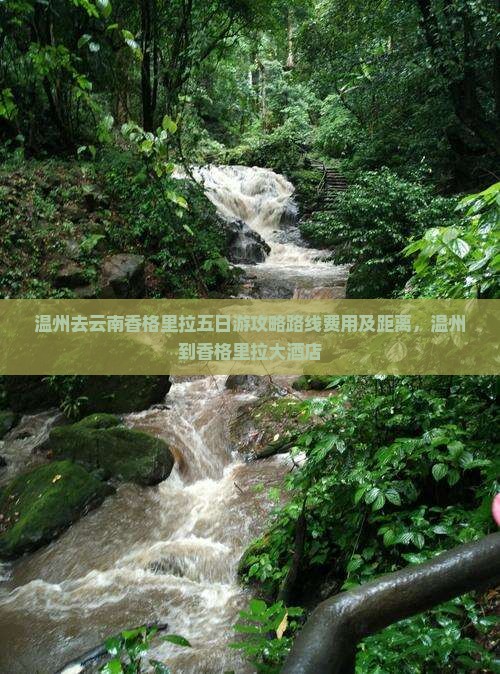 温州去云南香格里拉五日游