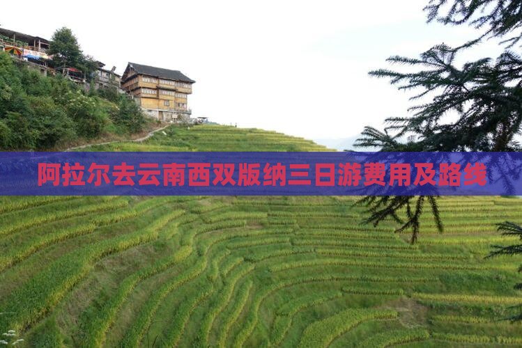 阿拉尔去云南西双版纳三日游