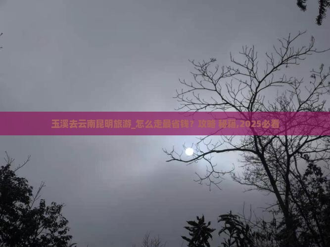 玉溪去云南昆明旅游