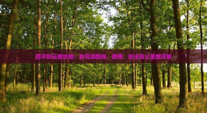四平到云南攻略