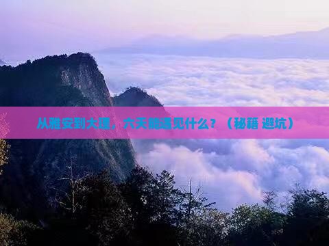 雅安到云南大理六日游