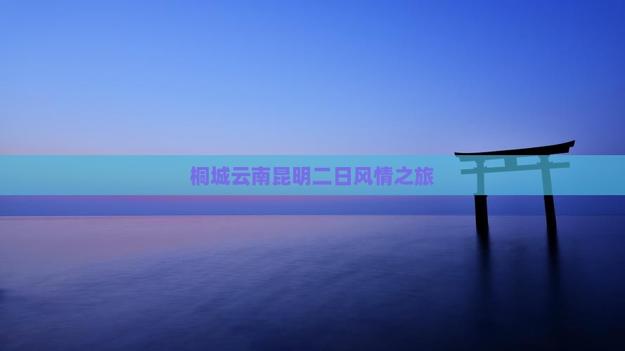 桐城云南昆明二日风情之旅