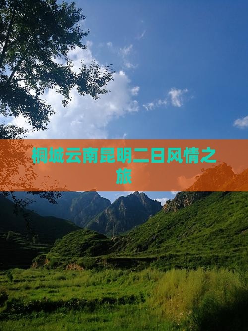 桐城云南昆明二日风情之旅