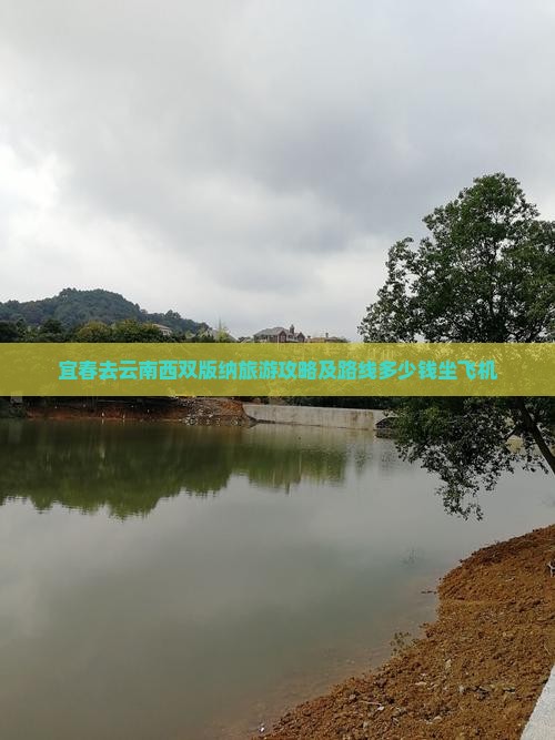 宜春去云南西双版纳旅游攻略及路线多少钱坐飞机