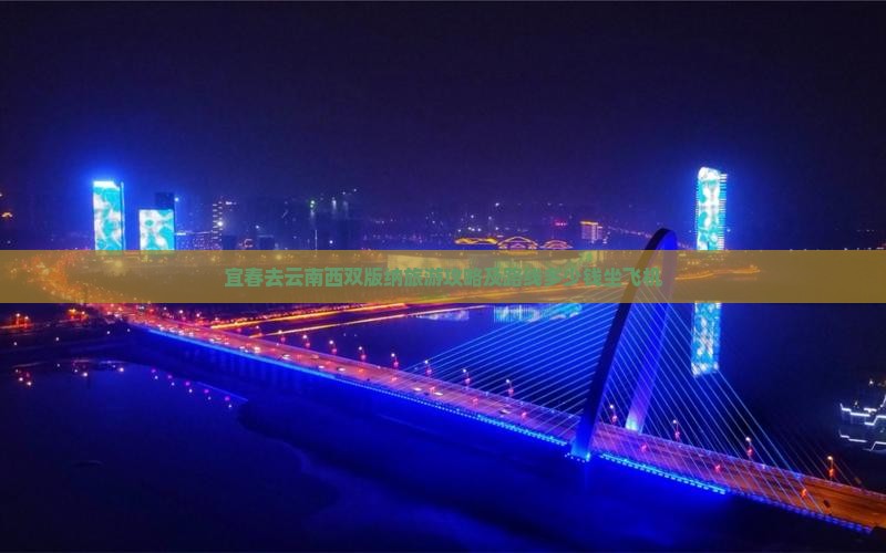 宜春去云南西双版纳旅游攻略及路线多少钱坐飞机