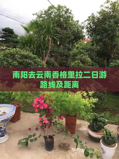南阳去云南香格里拉二日游路线及距离