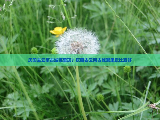 庆阳去云南古城哪里玩？庆阳去云南古城哪里玩比较好