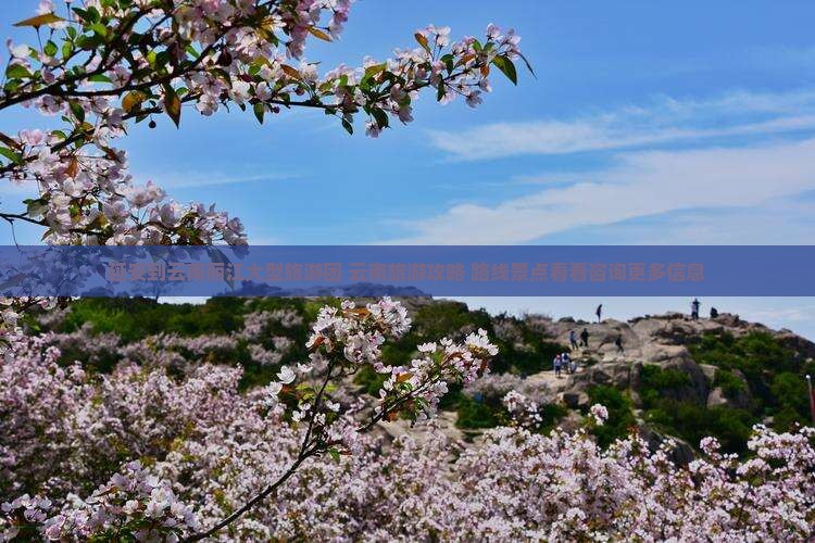 延安到云南丽江大型旅游团 云南旅游攻略 路线景点看看咨询更多信息