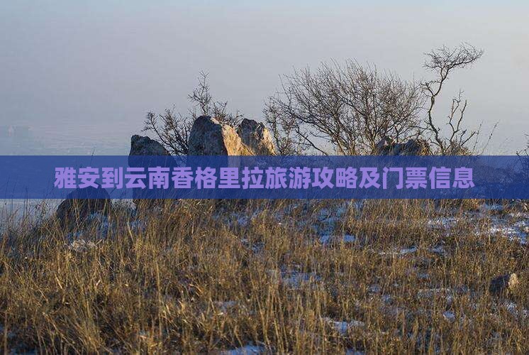 雅安到云南香格里拉旅游攻略及门票信息
