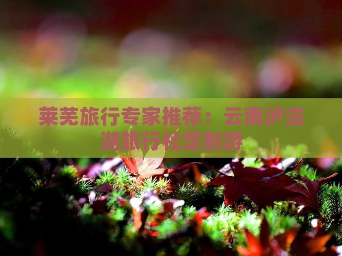 莱芜旅行专家推荐：云南泸沽湖旅行社定制游