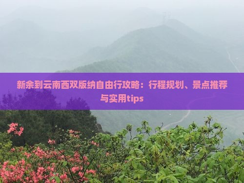 新余到云南西双版纳自由行攻略：行程规划、景点推荐与实用tips