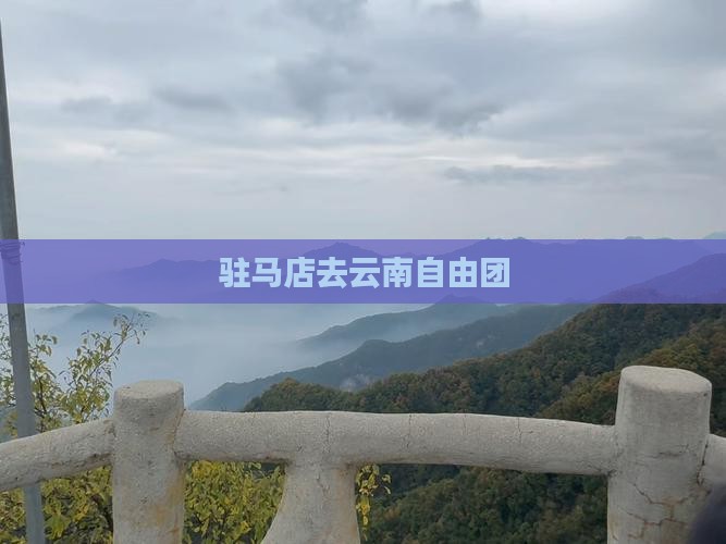 驻马店去云南自由团