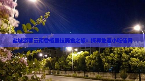 盐城游客云南香格里拉美食之旅：探寻地道小吃佳肴