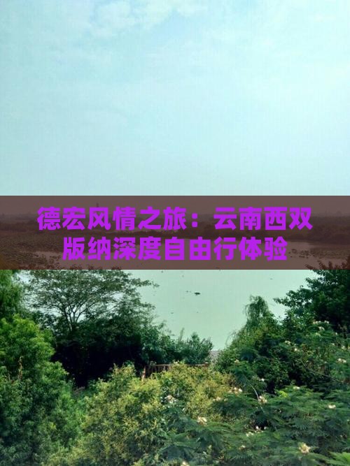 德宏风情之旅：云南西双版纳深度自由行体验