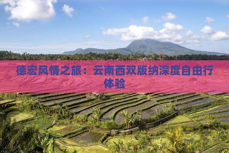 德宏风情之旅：云南西双版纳深度自由行体验