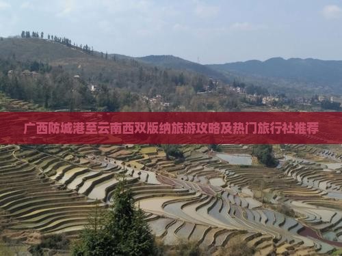 广西防城港至云南西双版纳旅游攻略及热门旅行社推荐