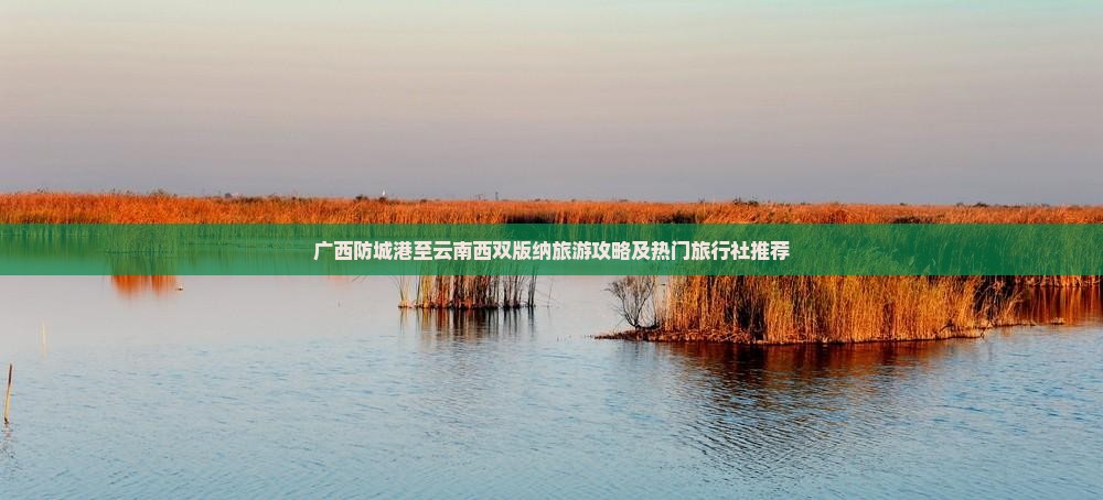 广西防城港至云南西双版纳旅游攻略及热门旅行社推荐