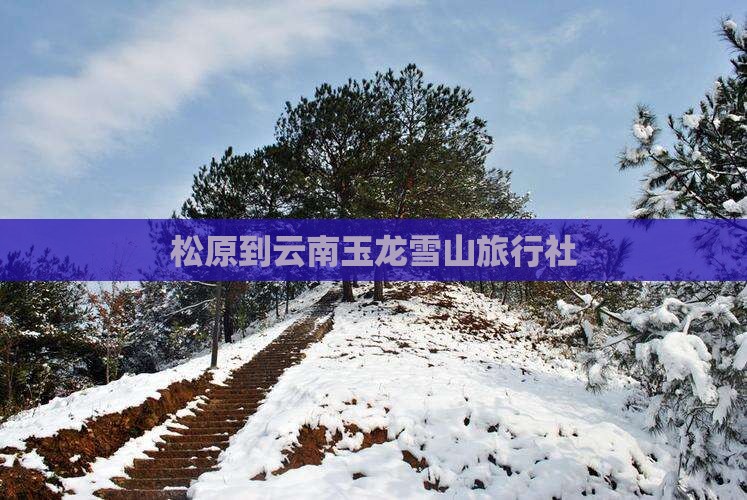 松原到云南玉龙雪山旅行社