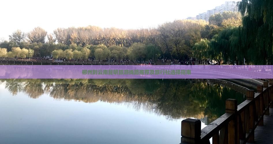 郴州到云南昆明旅游线路推荐及旅行社选择指南