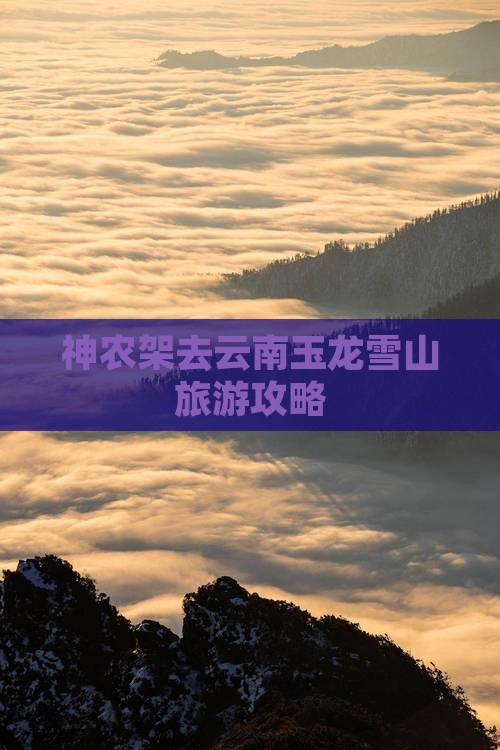 神农架去云南玉龙雪山旅游攻略