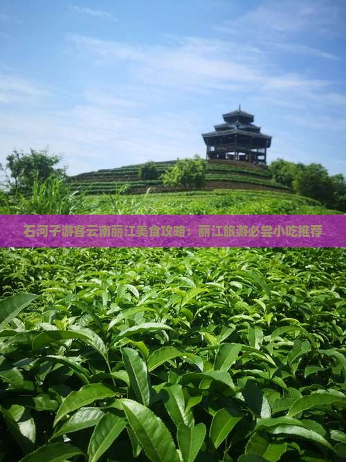 石河子游客云南丽江美食攻略：丽江旅游必尝小吃推荐