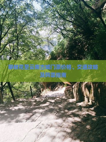 攀枝花至云南古城门票价格、交通攻略及购票指南