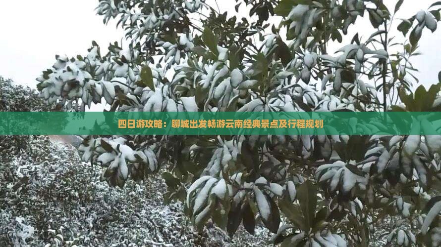 四日游攻略：聊城出发畅游云南经典景点及行程规划
