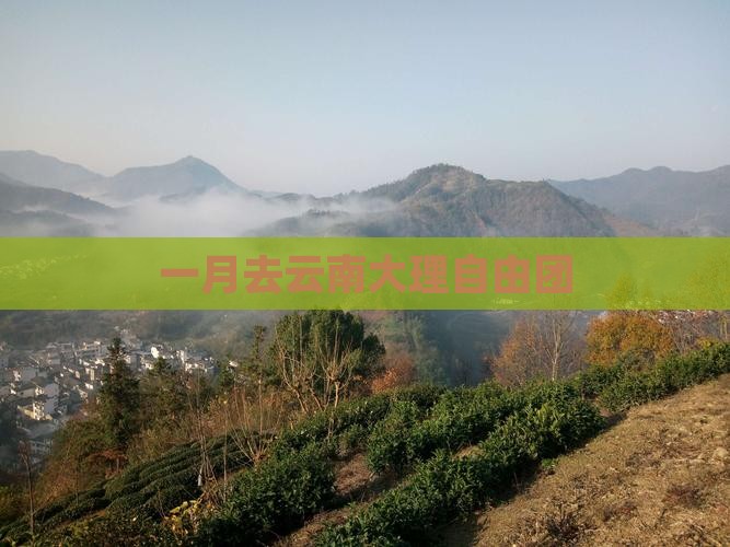 一月去云南大理自由团