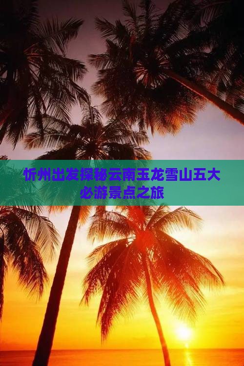 忻州出发探秘云南玉龙雪山五大必游景点之旅