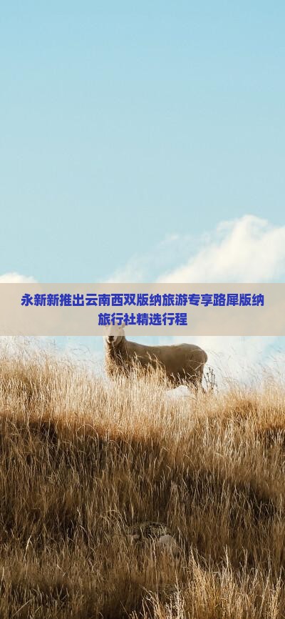 永新新推出云南西双版纳旅游专享路犀版纳旅行社精选行程