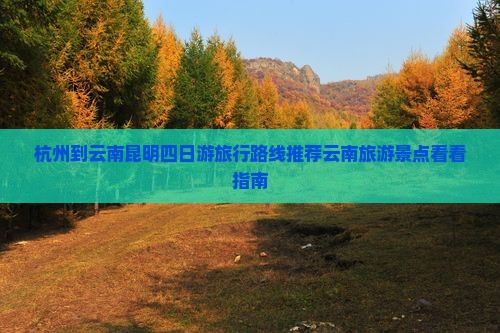 杭州到云南昆明四日游旅行路线推荐云南旅游景点看看指南