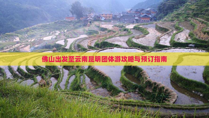 佛山出发至云南昆明团体游攻略与预订指南