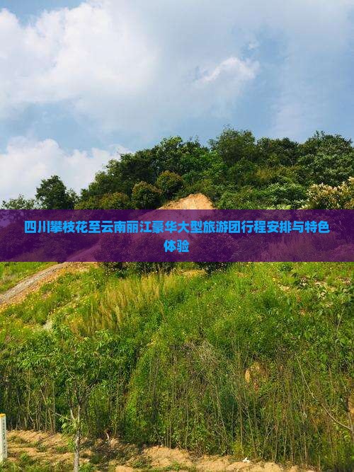 四川攀枝花至云南丽江豪华大型旅游团行程安排与特色体验