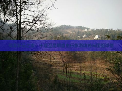 探索彩云之南：十堰至昆明自由行旅游攻略与团组详情