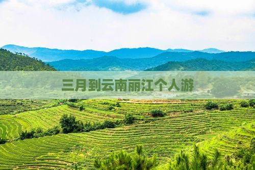 三月到云南丽江个人游