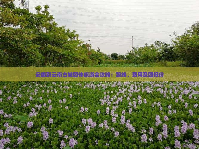 安康到云南古城团体旅游全攻略：路线、费用及团报价