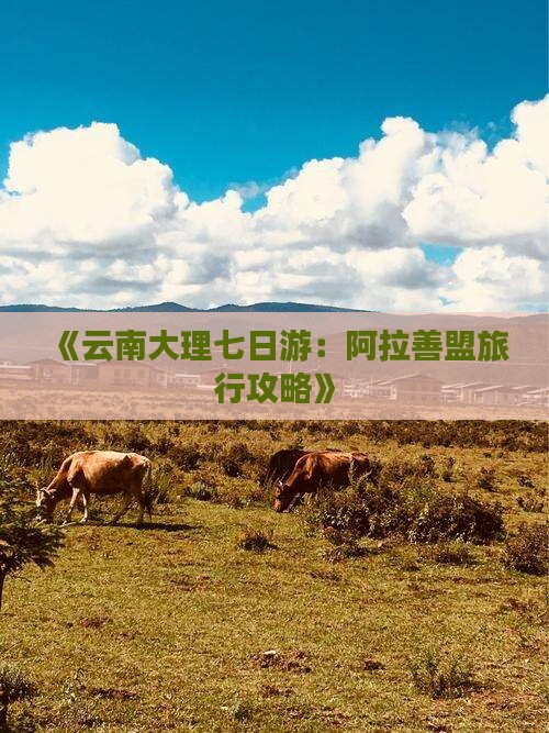 《云南大理七日游：阿拉善盟旅行攻略》