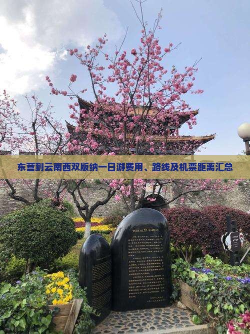 东营到云南西双版纳一日游费用、路线及机票距离汇总