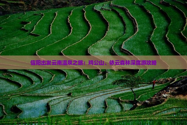 信阳出发云南温泉之旅：鸡公山、依云森林深度游攻略