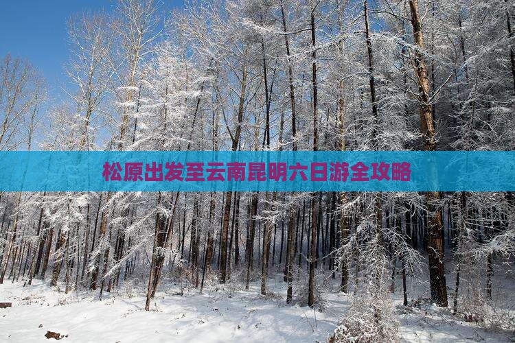 松原出发至云南昆明六日游全攻略