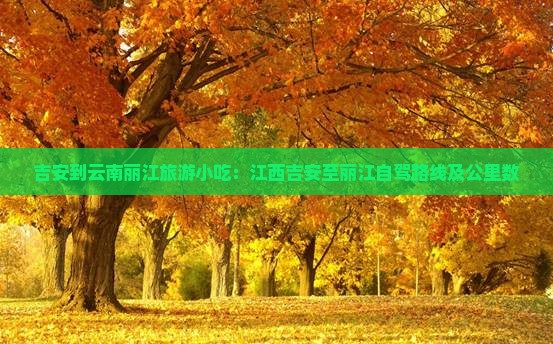 吉安到云南丽江旅游小吃：江西吉安至丽江自驾路线及公里数