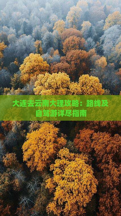 大连去云南大理攻略：路线及自驾游详尽指南